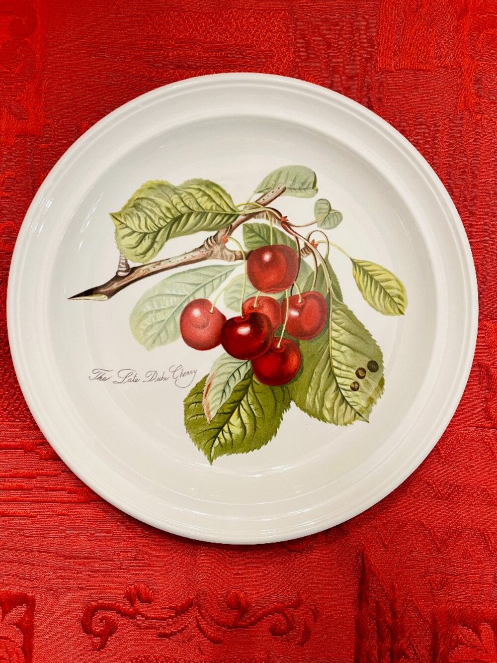Rare Vintage Portmeirion Pomona Dinner Plate in "The Late Duke Cherry"